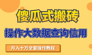 搬砖操作大数据查询信用项目赚钱教程,祝你快速月入6万-小牛学府