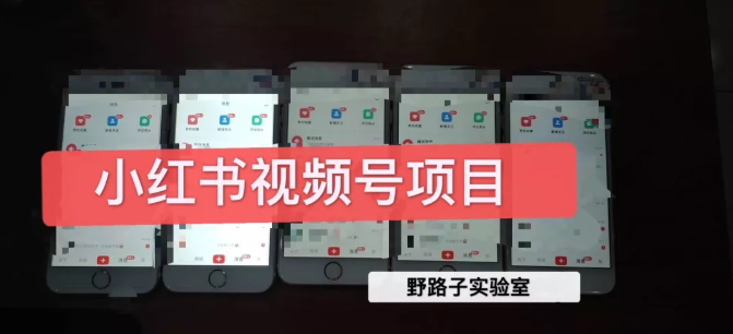 野路子小红书视频号1.0项目,直接上手操作就能赚钱的视频号项目-小牛学府