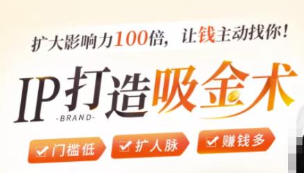 IP打造吸金术：0基础0资源，也能扩大影响力100倍，让钱主动找你！-小牛学府