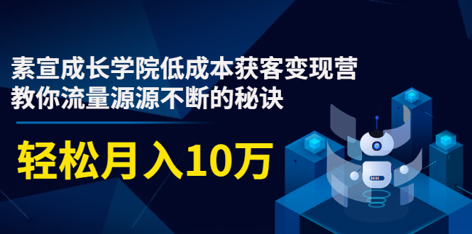 素宣成长学院低成本获客变现营，教你流量源源不断的秘诀，轻松月入10万-小牛学府