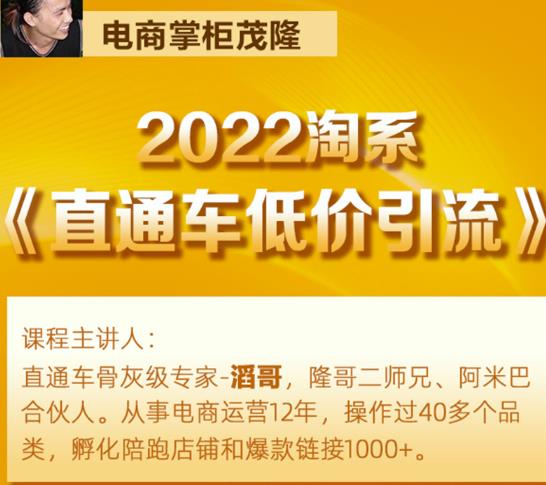茂隆2022直通车低价引流玩法，教大家如何低投入高回报的直通车玩法-小牛学府