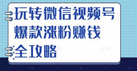 玩转微信视频号爆款涨粉赚钱全攻略，让你快速抓住流量风口，收获红利财富-小牛学府