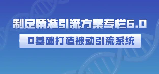 制定精准引流方案专栏6.0，0基础打造被动引流系统-小牛学府