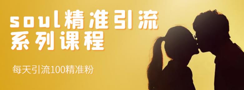 soul精准引流系列课程,每天引流100精准粉-小牛学府