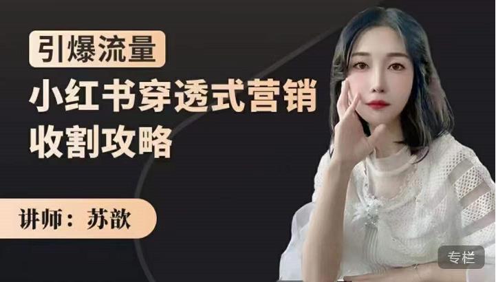 苏歆:小红书穿透式营销收割攻略,引爆流量,助你玩转小红书-小牛学府
