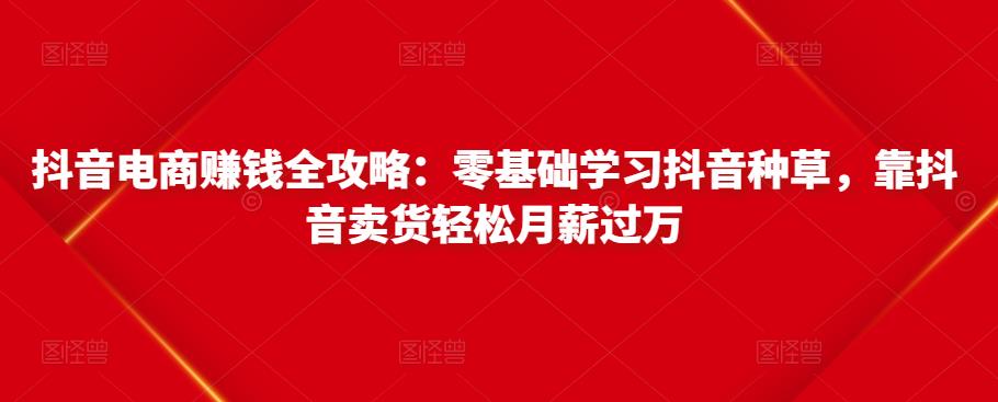 抖音电商赚钱全攻略:零基础学习抖音种草,靠抖音卖货轻松月薪过万-小牛学府