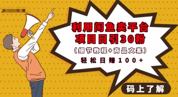 利用闲鱼卖平台项目课程资源日引流30+精准粉丝,轻松日赚100+,积累人脉可实现二次变-小牛学府