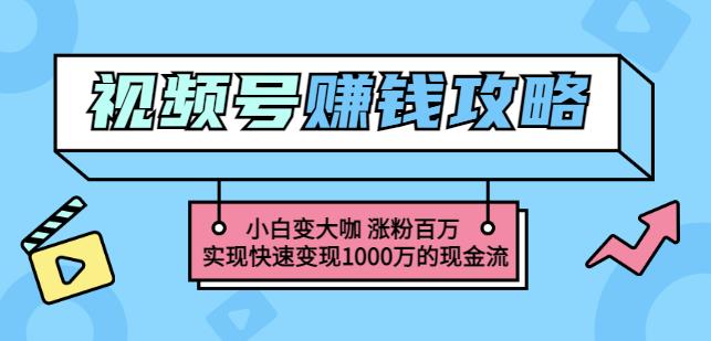 玩转微信视频号赚钱：小白变大咖涨粉百万实现快速变现1000万的现金流-小牛学府