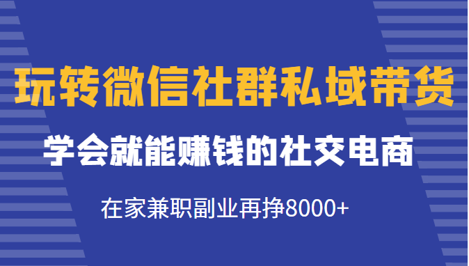 玩转微信社群私域带货,学会就能赚钱的社交电商,在家兼职副业再挣8000+-小牛学府
