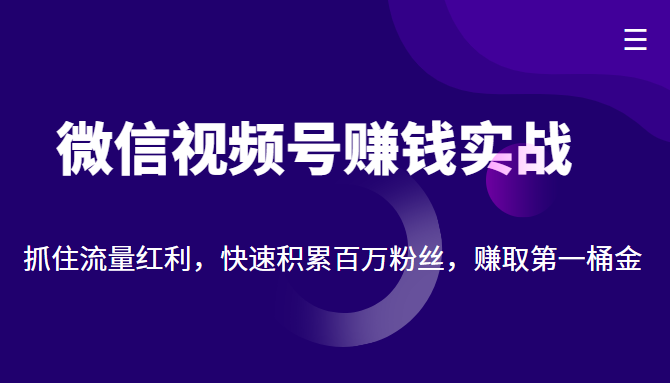微信视频号赚钱实战:抓住流量红利,快速积累百万粉丝,赚取你的第一桶金-小牛学府