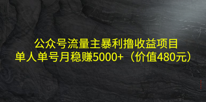 公众号流量主暴利撸收益项目，单人单号月稳赚5000+（价值480元）-小牛学府