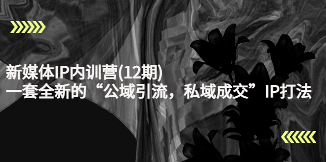 新媒体IP内训营(12期),一套全新的“公域引流,私域成交”IP打法,直接带走-小牛学府