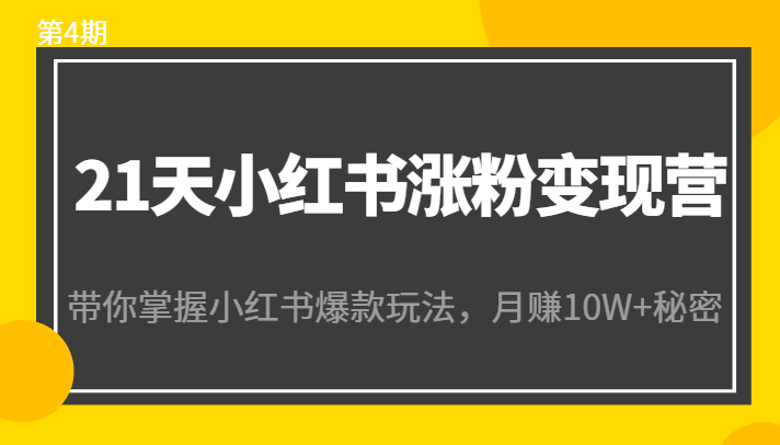 21天小红书涨粉变现营(第4期):带你掌握小红书爆款玩法,月赚10W+秘密-小牛学府