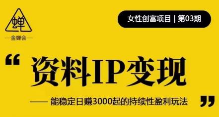 资料IP变现，能稳定日赚3000起的持续性盈利玩法-小牛学府