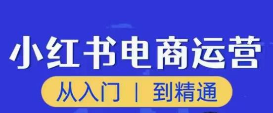 顽石小红书电商高阶运营课程，从入门到精通，玩法流程持续更新-小牛学府