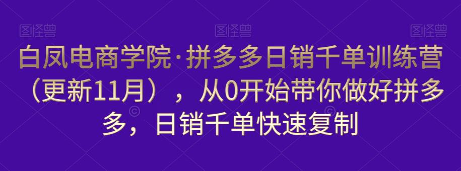 白凤电商学院·拼多多日销千单训练营，从0开始带你做好拼多多，日销千单快速复制（更新知2023年3月）-小牛学府