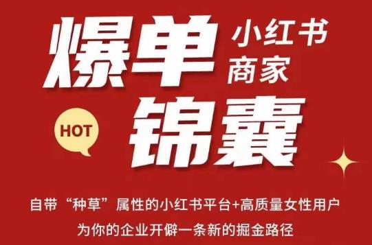 无畏·小红书商家爆单锦囊，掌握小红书各大规则，快速精准抢占行业和市场-小牛学府
