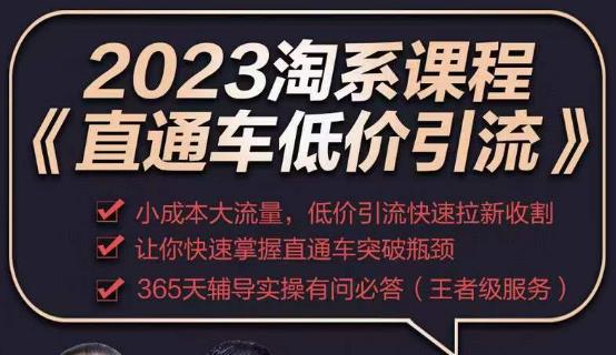 2023直通车低价引流玩法课程，小成本大流量，低价引流快速拉新收割，让你快速掌握直通车突破瓶颈-小牛学府