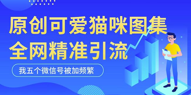 黑科技纯原创可爱猫咪图片，全网精准引流，实操5个VX号被加频繁-小牛学府