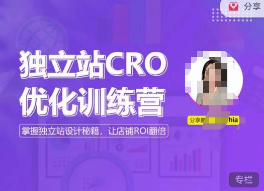 独立站CRO优化训练营,掌握独立站设计秘籍,打造高转化的独立站,让店铺ROI翻倍-小牛学府