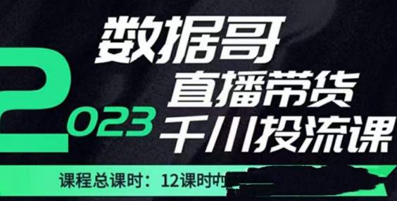 数据哥2023直播电商巨量千川付费投流实操课，快速掌握直播带货运营投放策略-小牛学府