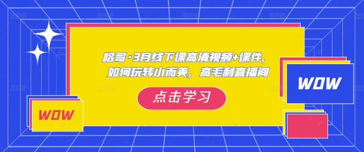 哈哥·3月线下实操课高清视频+课件，如何玩转小而美，高毛利直播间-小牛学府