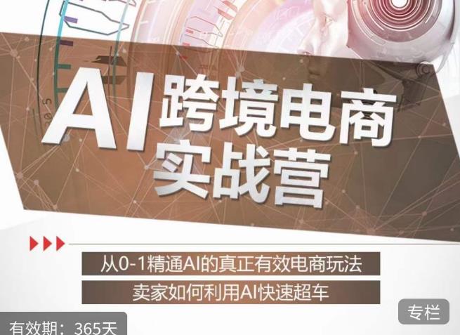 白龙老师·AI跨境电商实战营：从0-1精通Al的真正有效电商玩法，卖家如何利用Al快速超车-小牛学府