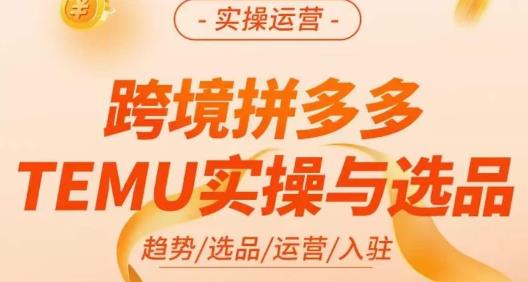 伍跃·跨境拼多多TEMU实操与选品,趋势/选品/运营/入住(27节完整)-小牛学府