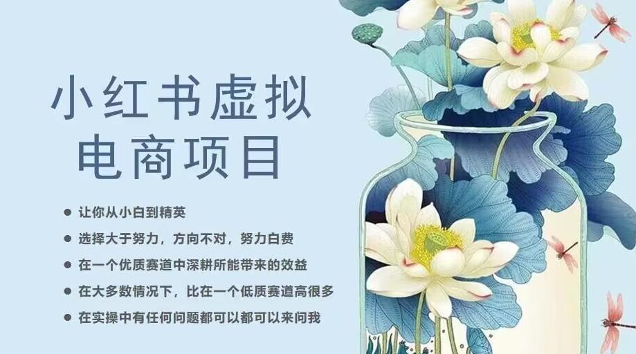 小红书虚拟电商从0到1，让你从小白到精英（20节实操课程）-小牛学府