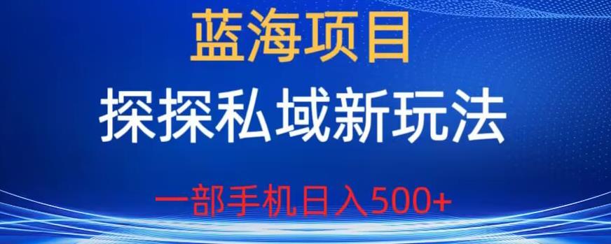 蓝海项目,探探私域新玩法,一部手机日入500+很轻松【揭秘】-小牛学府