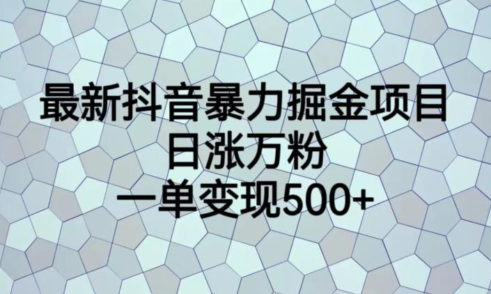 最新抖音暴力掘金项目，日涨万粉，一单变现500+【揭秘】-小牛学府