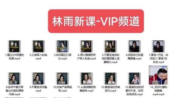 林雨新课VIP频道,玩赚私域/朋友圈/社群-小牛学府