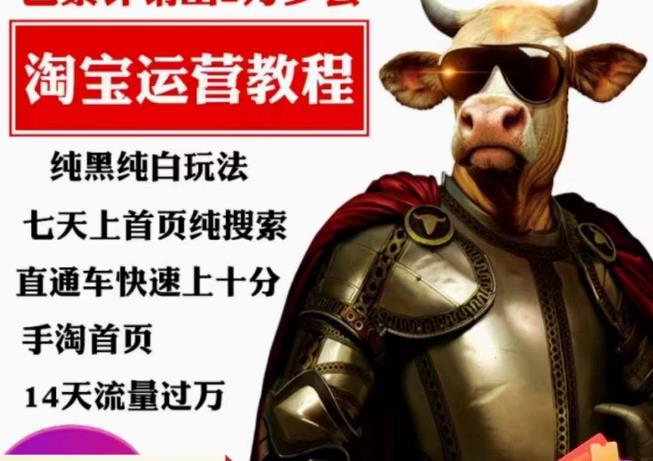 猫老师·淘系算法逆向解密,纯黑纯白玩法,七天上首页纯搜索,手淘首页14天流量过万-小牛学府
