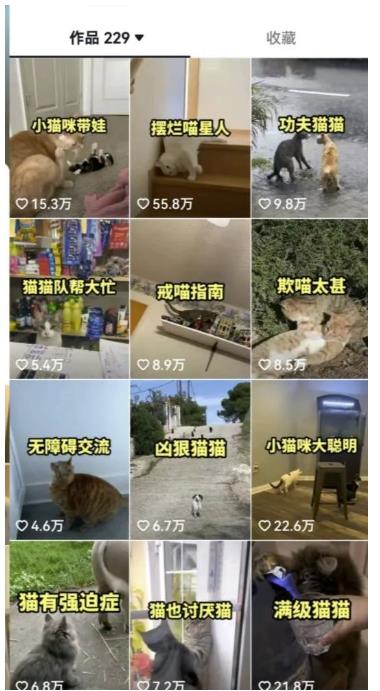 拆解抖音盘点类中视频变现副业项目，视频版一条龙大解析分享给你【视频课程】-小牛学府