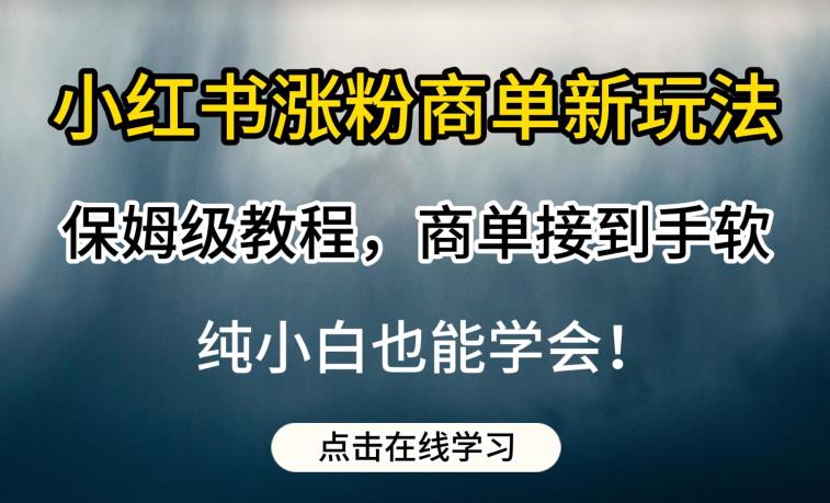 小红书涨粉商单新玩法，保姆级教程，商单接到手软，纯小白也能学会【揭秘】-小牛学府