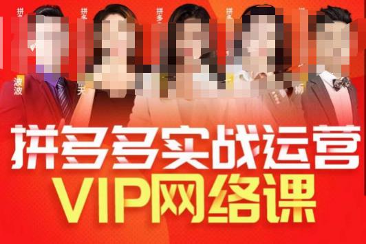 推易拼多多VIP全套直播课程,拼多多店铺实操玩法+实战玩法选款内功+直通车高阶等-小牛学府