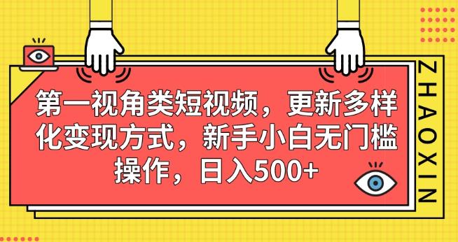 第一视角类短视频，更新多样化变现方式，新手小白无门槛操作，日入500+【揭秘】-小牛学府