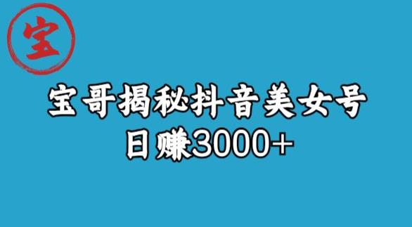宝哥揭秘抖音美女号玩法，日赚3000+【揭秘】-小牛学府