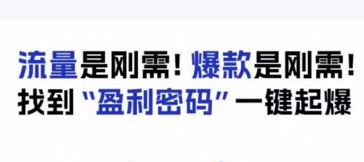 电商盈利精品课:6大盈利密码让产品更好卖,流量是刚需!爆款是刚需!找到”盈利密码”一键起爆-小牛学府