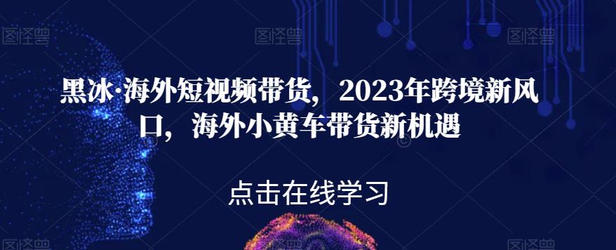 黑冰·海外短视频带货,2023年跨境新风口,海外小黄车带货新机遇-小牛学府