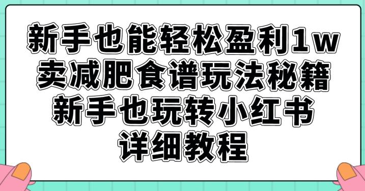 新手也能轻松盈利1w，卖减肥食谱玩法秘籍，新手也玩转小红书详细教程【揭秘】-小牛学府