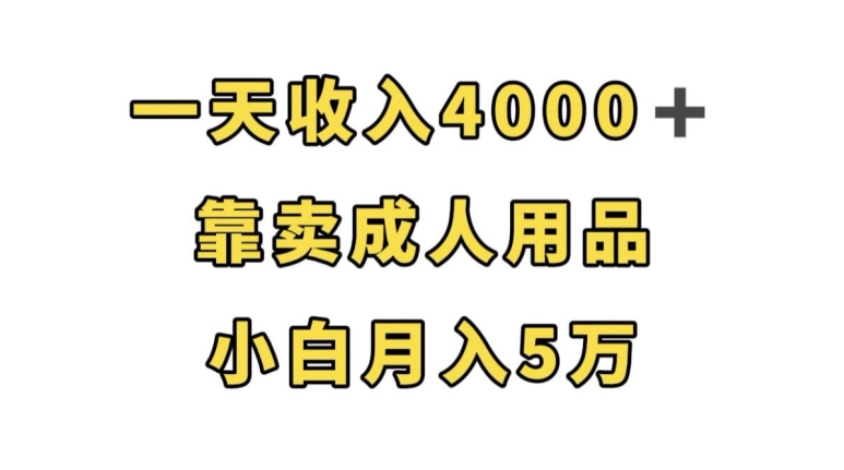 一天收入4000+,靠卖成人用品,小白轻松月入5万【揭秘】-小牛学府