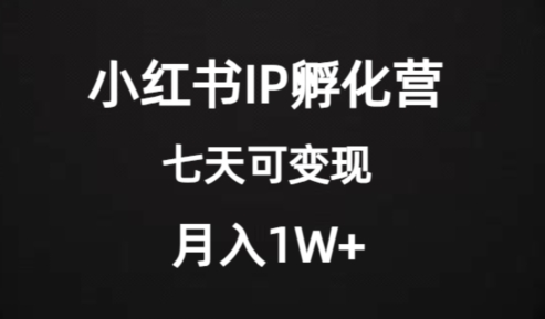 价值2000+的小红书IP孵化营项目,超级大蓝海,七天即可开始变现,稳定月入1W+-小牛学府
