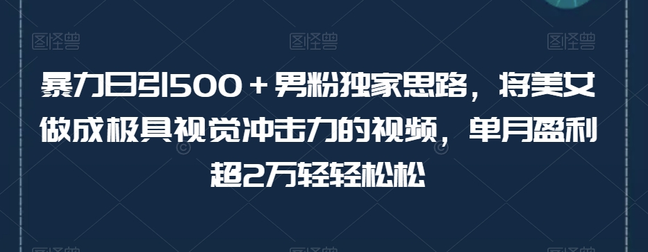 暴力日引500+男粉独家思路,将美女做成极具视觉冲击力的视频,单月盈利超2万轻轻松松-小牛学府