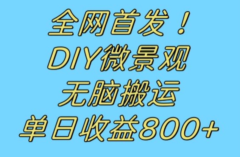 全网首发冷门赛道！DIY微景观，无脑搬运视频，日收益800+【揭秘】-小牛学府