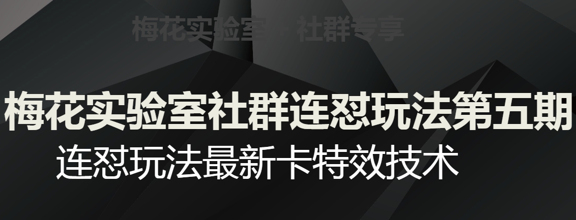 梅花实验室社群连怼玩法第五期，视频号连怼玩法最新卡特效技术-小牛学府