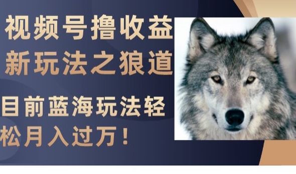 视频号撸收益新玩法之狼道,目前蓝海玩法,轻松月入过万【揭秘】-小牛学府