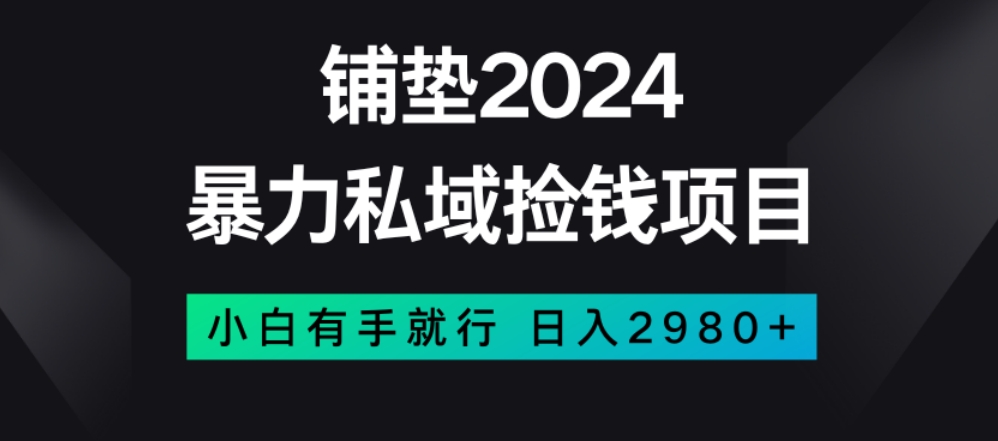 暴力私域捡钱项目，小白无脑操作，日入2980【揭秘】-小牛学府