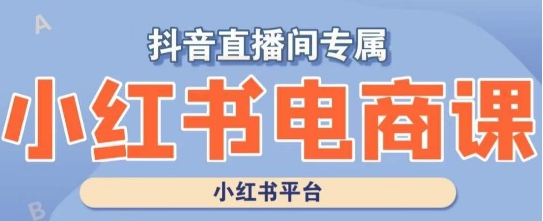 小红书电商高级运营课程,实操教学+案例分析-小牛学府