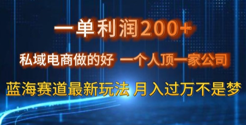 一单利润200私域电商做的好，一个人顶一家公司蓝海赛道最新玩法【揭秘】-小牛学府
